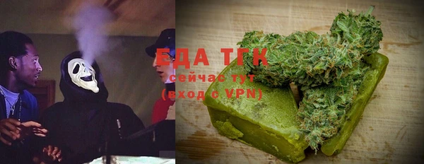 хмурый Абаза