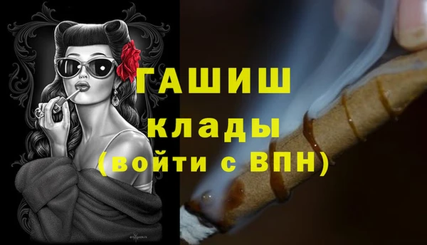 хмурый Абаза