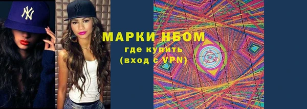 хмурый Абаза