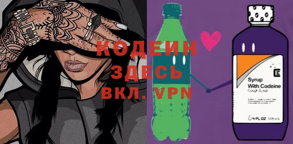хмурый Абаза