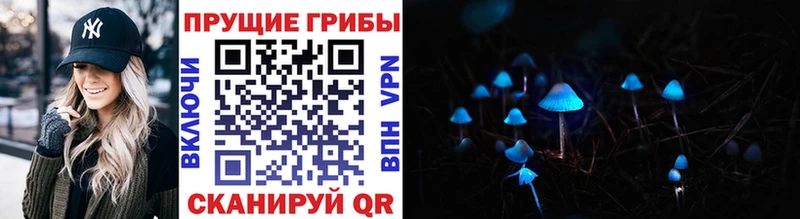закладка Томилино Псилоцибиновые грибы Magic Shrooms