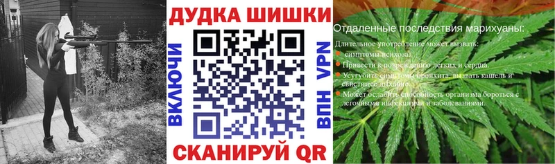 Конопля планчик наркота Томилино